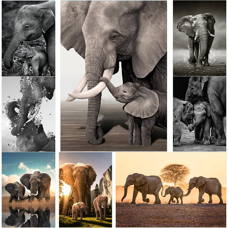 Baby Nursery Images - Affiches de famille d'éléphant quelque part,