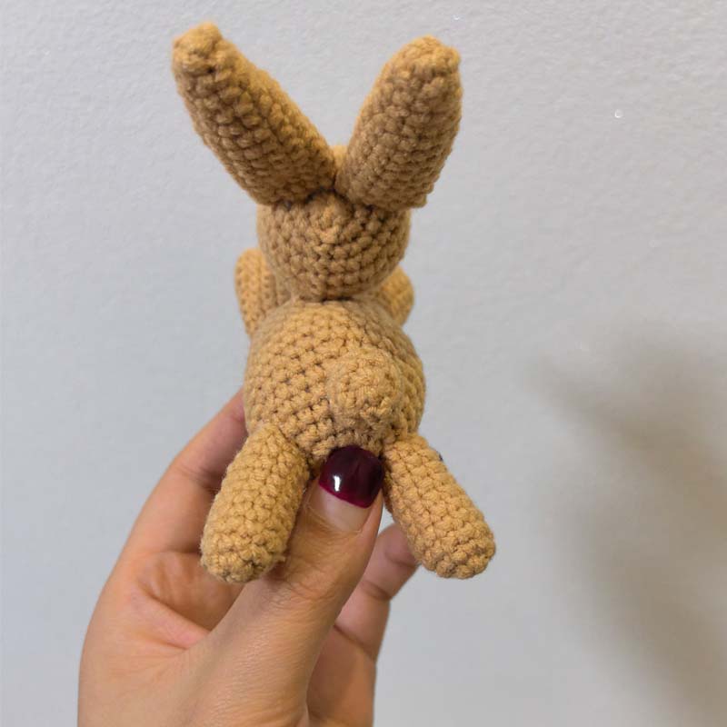 1 pièces Adorable lapin au Cro - Baby Nursery Hanging Decor avis et prix
